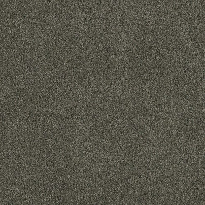 Profound III in Midnight Shadow Carpet
