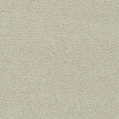 Remarkable Supreme in Solar Flair Carpet