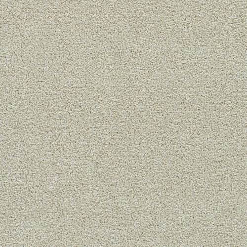 Remarkable Supreme in Solar Flair Carpet