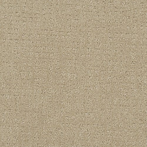 In Style in Soft Pine Carpet