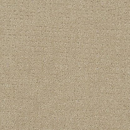 In Style in Soft Pine Carpet