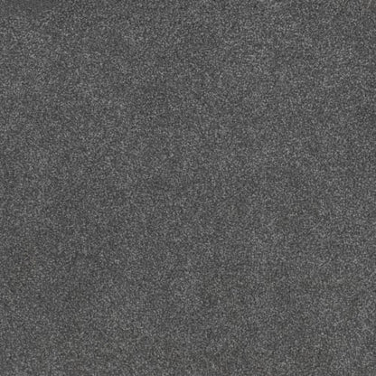 Beach Club II in Admiral Carpet