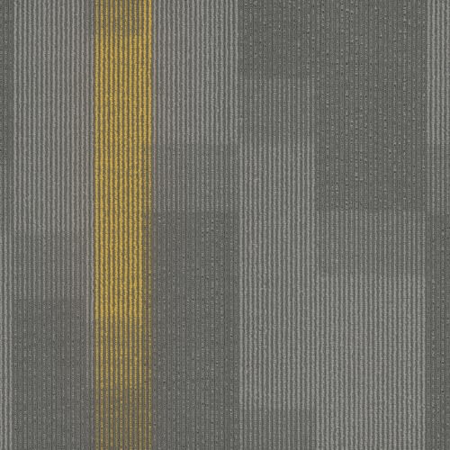 Amplify Tile