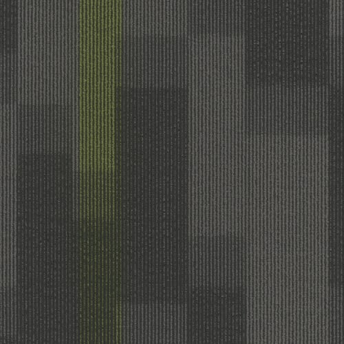 Magnify Tile