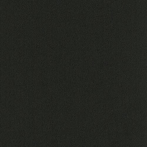 Colorburst Plank in Midnight Carpet Tile