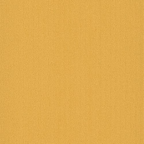 Colorburst Plank
