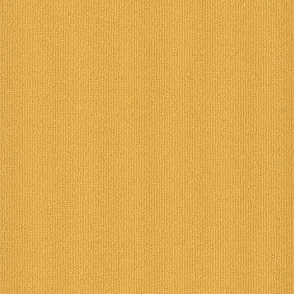 Colorburst Plank