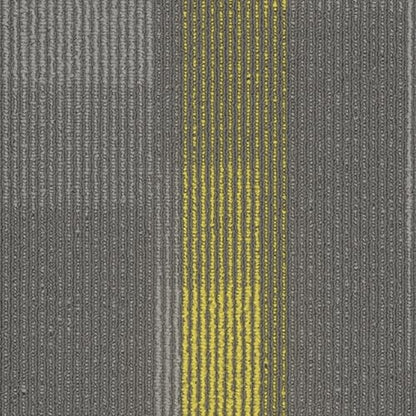 Amplify Plank