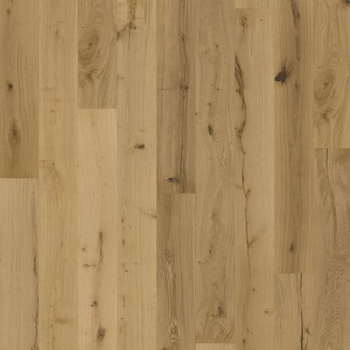 Texture Collection in Natur