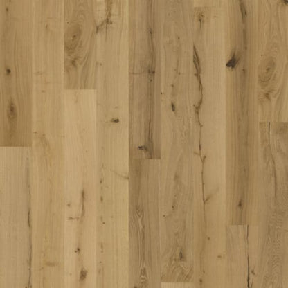 Texture Collection in Natur