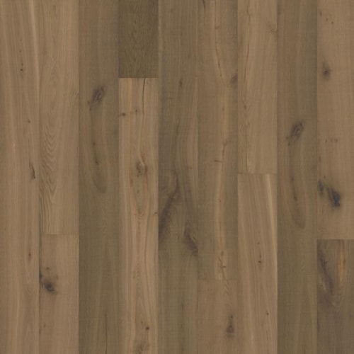 Texture Collection in Grau