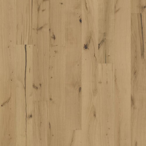Texture Collection in Rohoptic