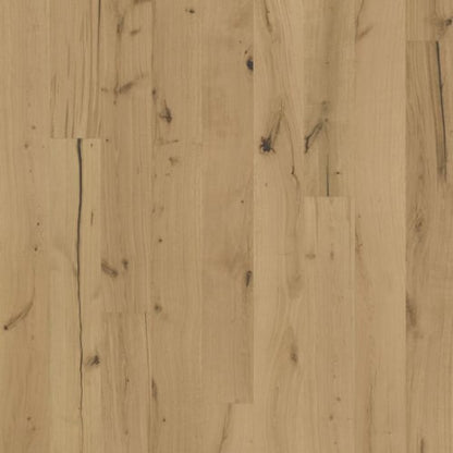 Texture Collection in Rohoptic