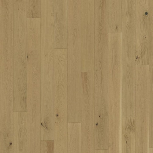 Lux Collection in Oak Biscotti