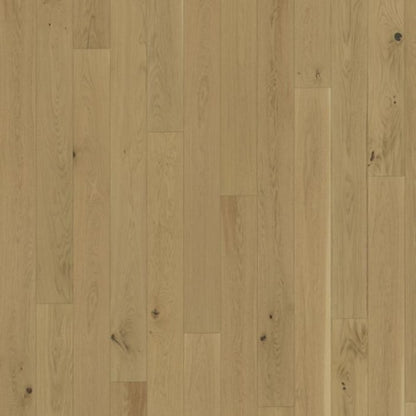 Lux Collection in Oak Biscotti