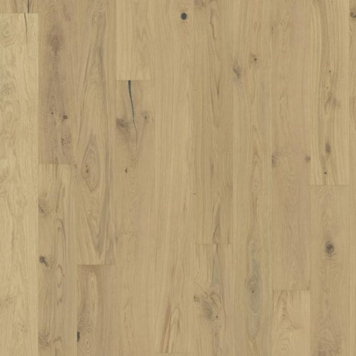 Beyond Retro Collection in Urban Brown Plank