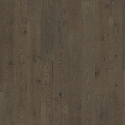 Beyond Retro Collection in Charcoal Light Plank