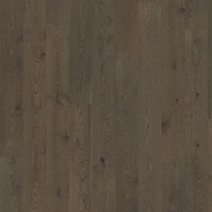 Beyond Retro Collection in Charcoal Light Plank