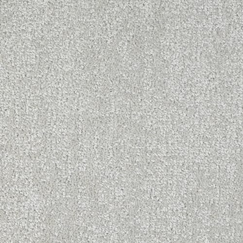 Noble in Talent Carpet