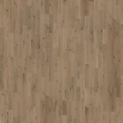 Beyond Retro Collection in Frozen Hazelnut Strip