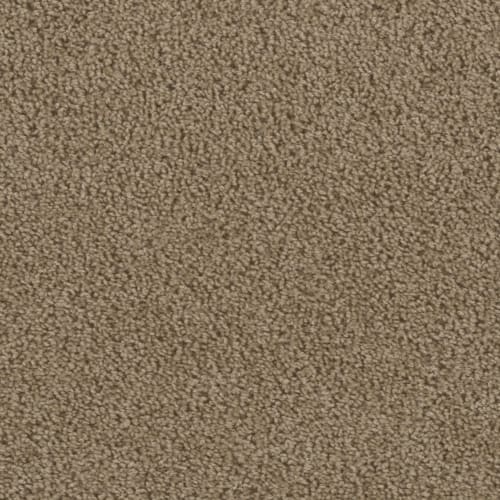 Preseason in 1858 Carpet