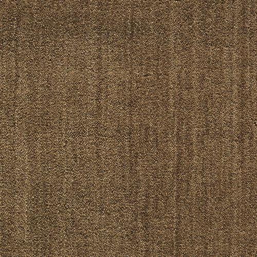 Grand Velvet in Pt99 Khaki Carpet