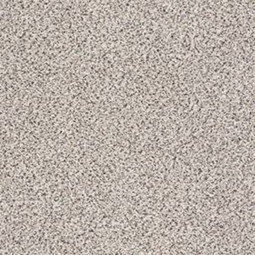 INSPIRED TEXTURE ACCENT