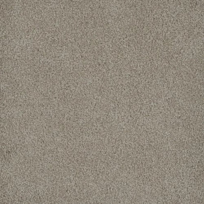 Hammond Creek I in Cameo Carpet