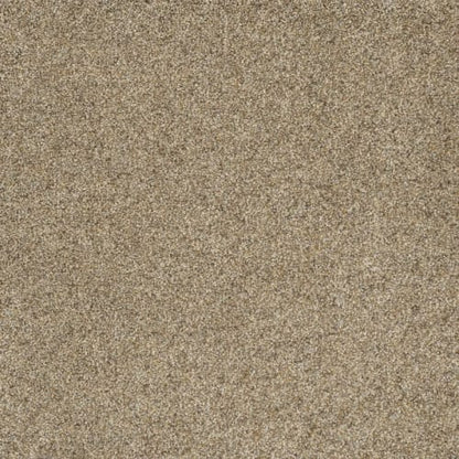 Astounding I in Amberwood Carpet