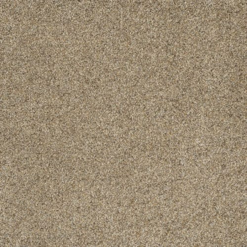 Astounding I in Amberwood Carpet