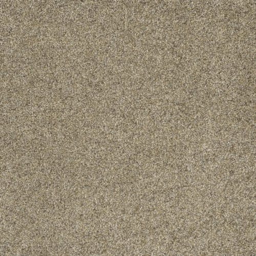 Astounding II in Amberwood Carpet