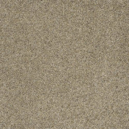 Astounding II in Amberwood Carpet