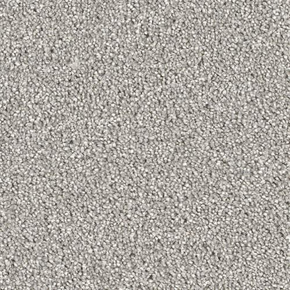 Montauk in Dove Carpet