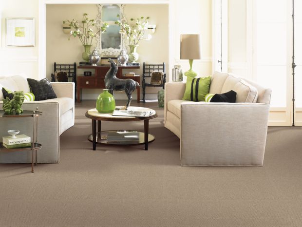 Natural Intuition in Timberline Carpet