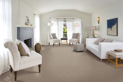 Tonal Chic II in Crossroads Carpet