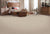 Exquisite Tones in Winter Ash Carpet