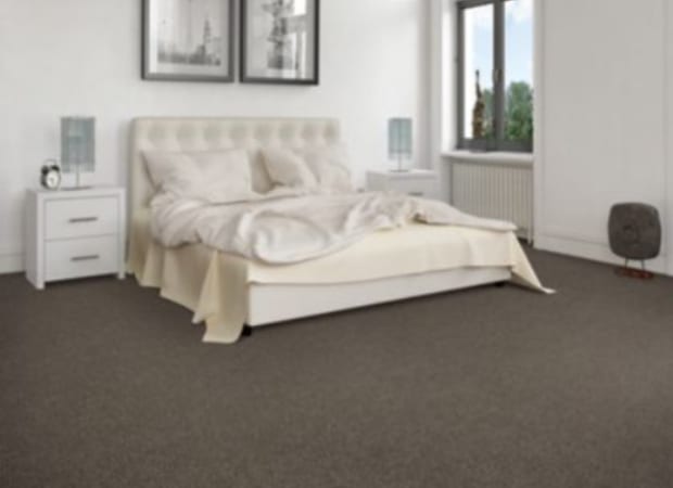 Friendly Recommendat in 834 Carpet