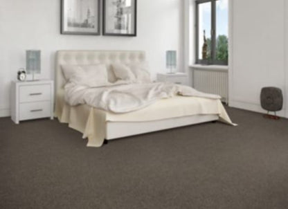 Friendly Recommendat in 834 Carpet