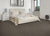 Friendly Recommendat in 834 Carpet