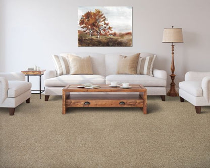 Medalist in Overcast Carpet