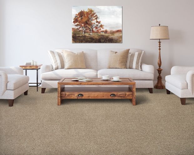 Color Fusion I in Highlander Carpet
