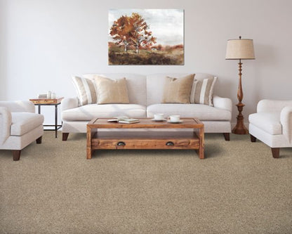 Color Fusion I in Highlander Carpet
