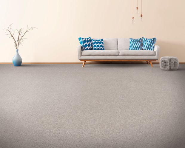 Soft Aspect in Dovetail Carpet