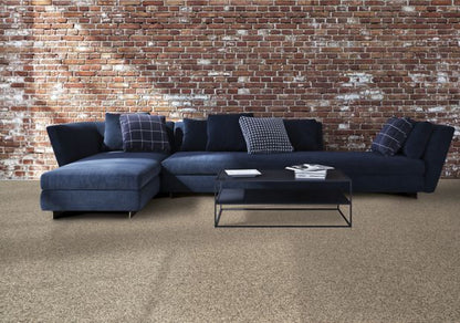 Chic Comfort in Charcoal Carpet
