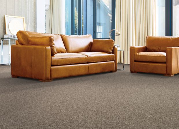 Pure Wonder in Copper Tones Carpet