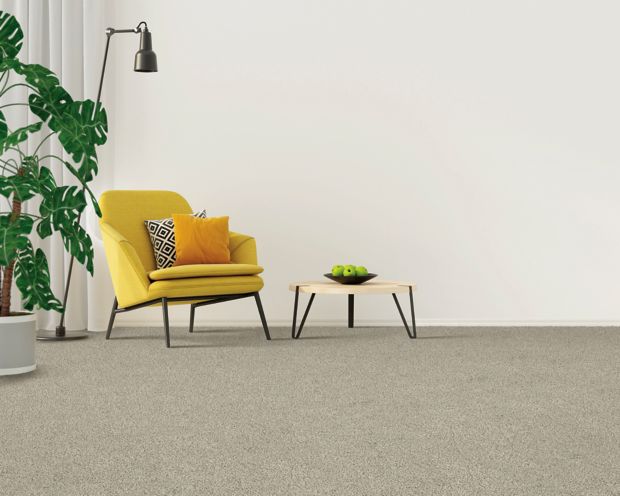 Gentle Path in Spellbound Carpet
