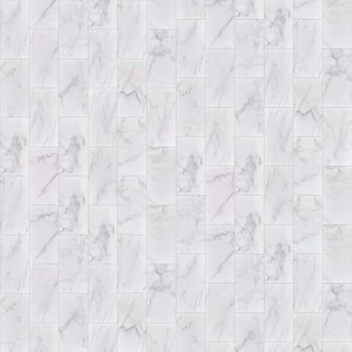 MAXIMUS 6X12 GLOSS in Carrara Tile
