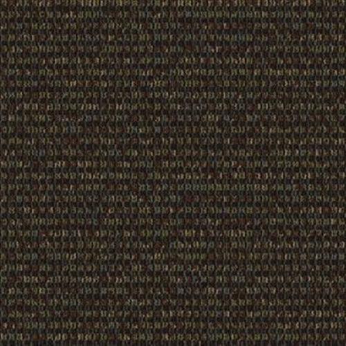 Construe in Analyze Carpet