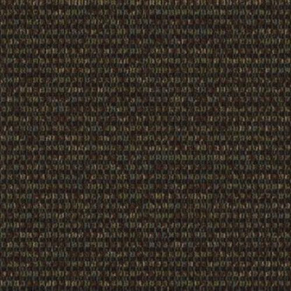 Construe in Analyze Carpet