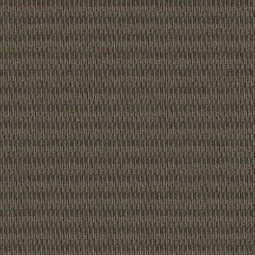 Classify in Describe Carpet